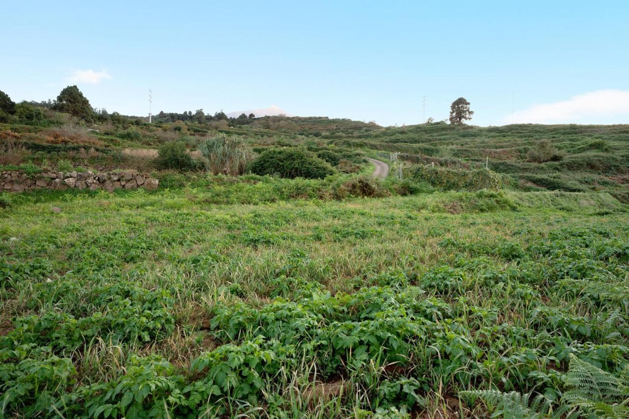 El Nogal Villa San Juan de la Rambla Eksteriør bilde